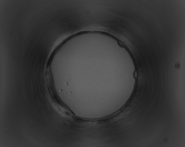 X0000091880990200710031117