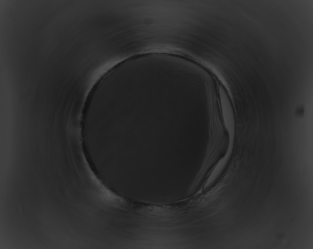 X0000091880995200710031117