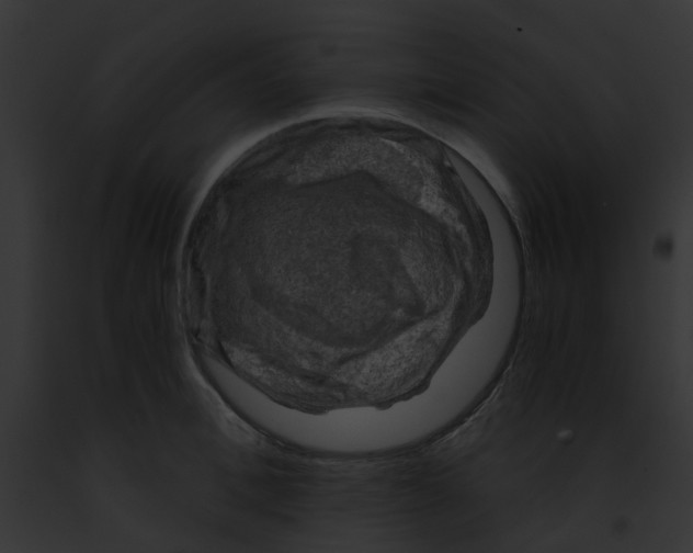 X0000091880996200710031117