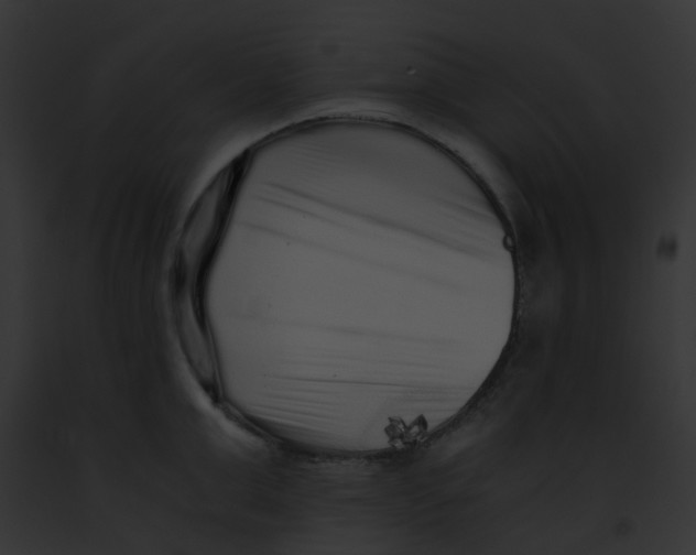 X0000091880999200710031117