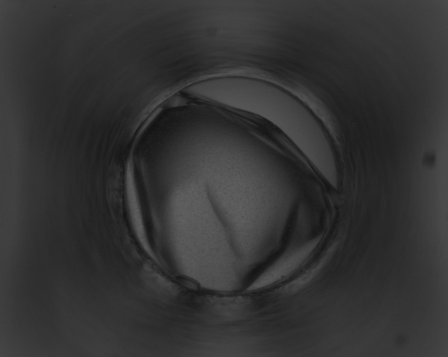 X0000091881001200710031117