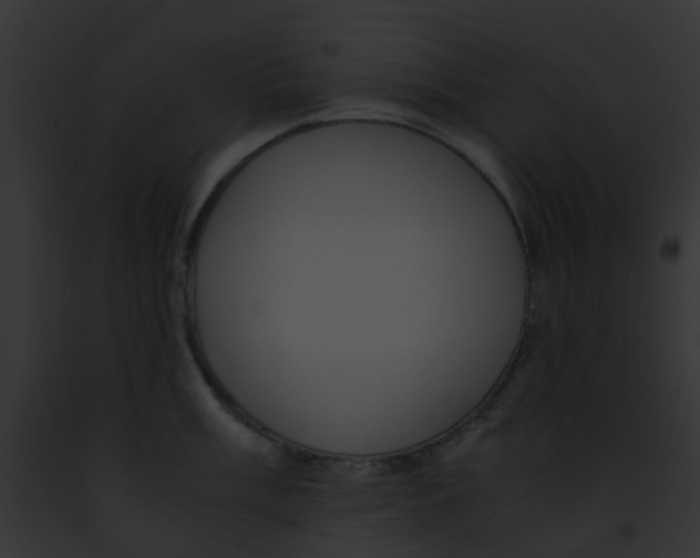 X0000091881003200710031117