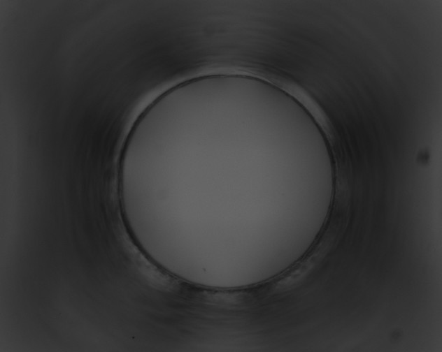 X0000091881004200710031117