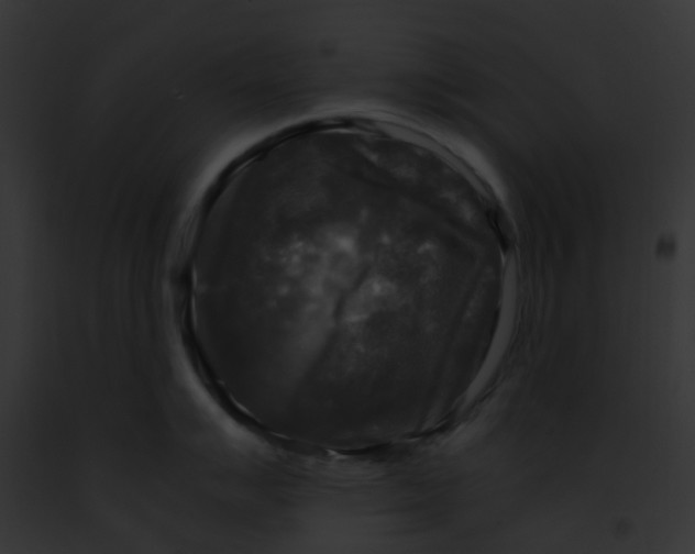 X0000091881007200710031117