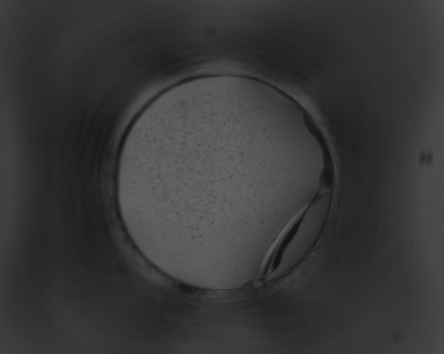 X0000091881008200710031117