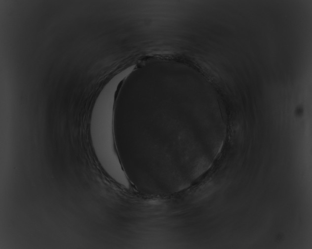 X0000091881010200710031116