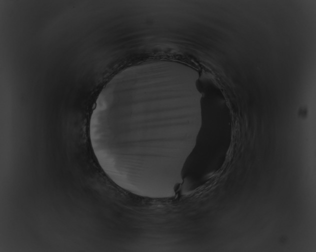 X0000091881013200710031116