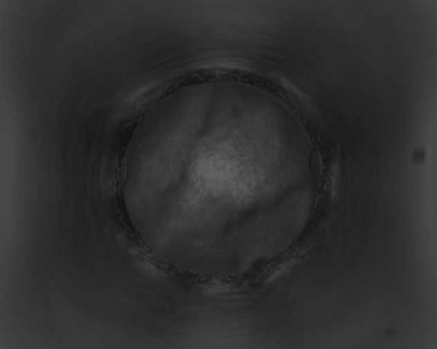 X0000091881014200710031116