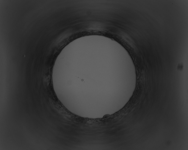 X0000091881015200710031116