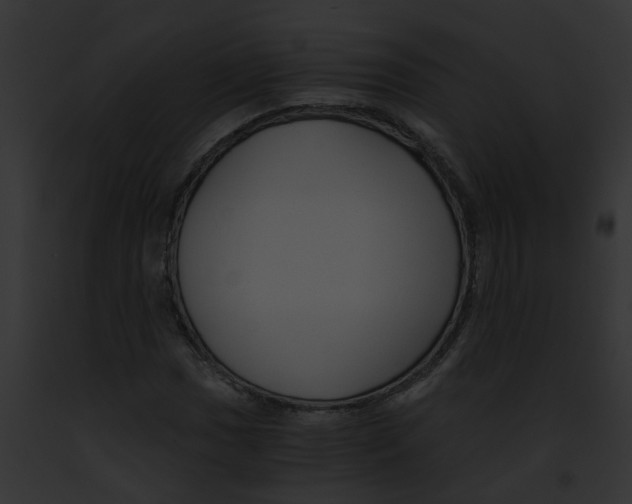 X0000091881017200710031116