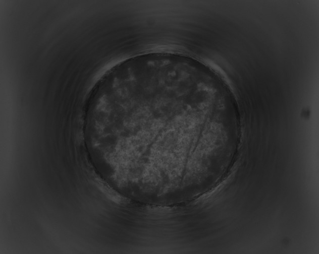 X0000091881019200710031116