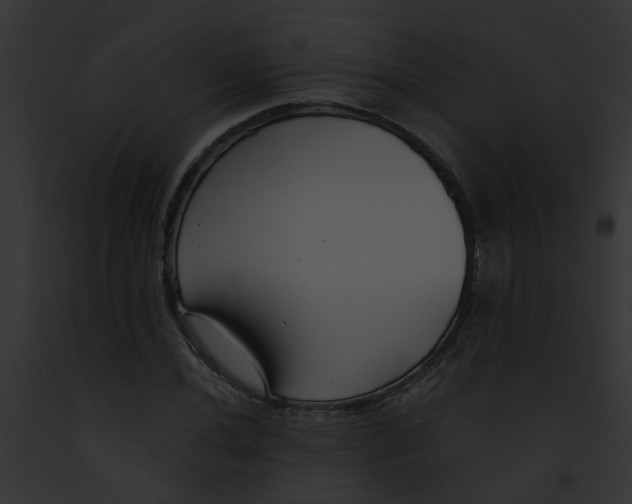 X0000091881020200710031117