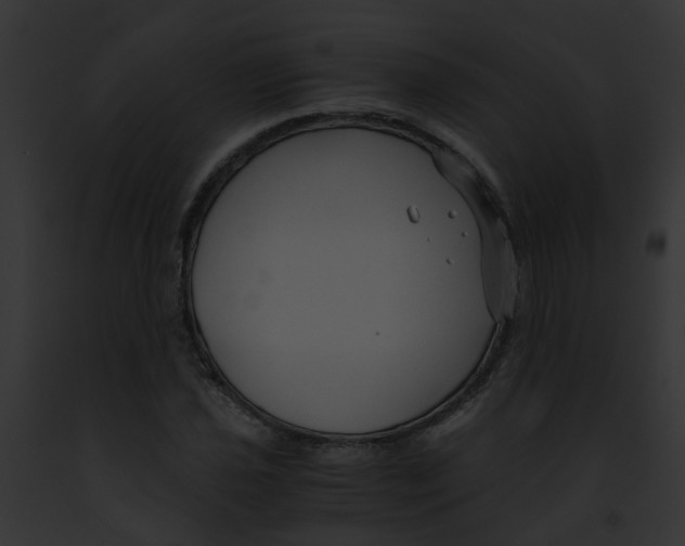 X0000091881021200710031117