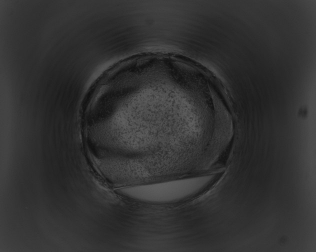 X0000091881022200710031117