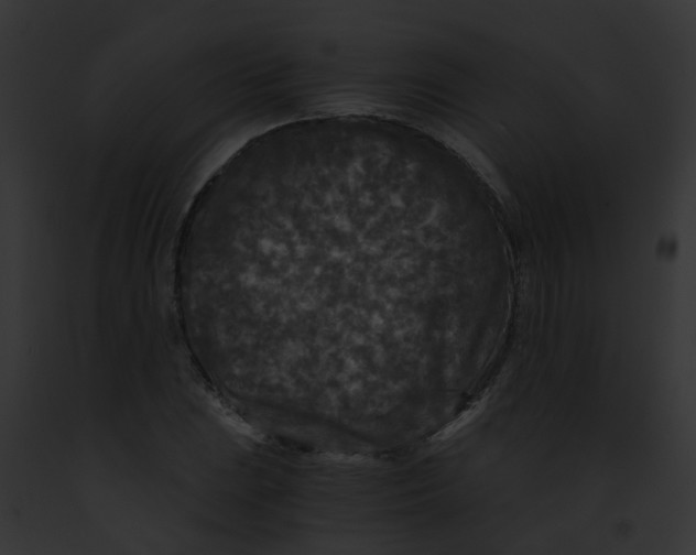 X0000091881023200710031117