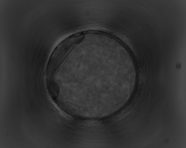 X0000091881024200710031117