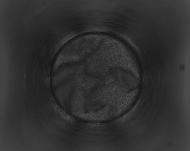 X0000091881025200710031117