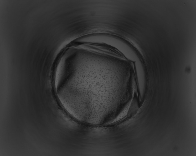 X0000091881026200710031117