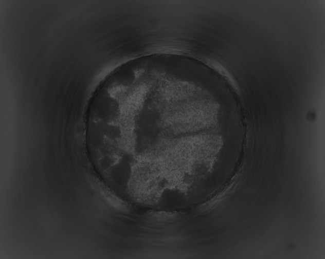 X0000091881027200710031117