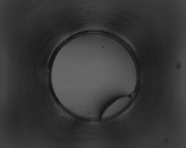 X0000091881029200710031117