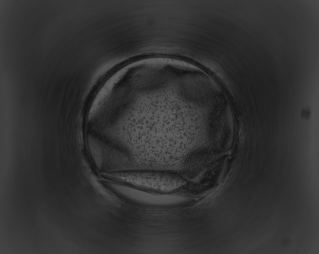 X0000091881030200710031117