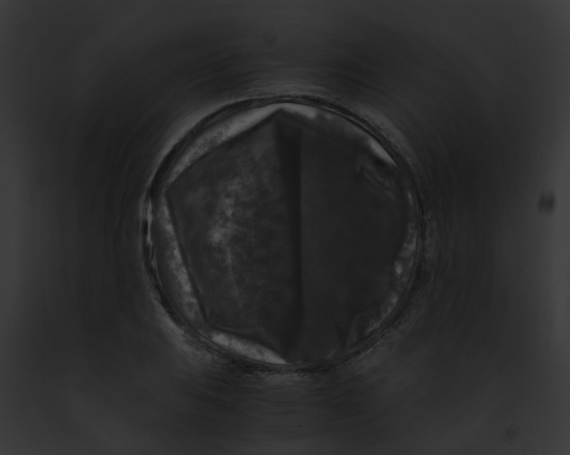 X0000091881031200710031117