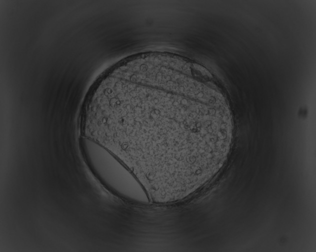 X0000091881032200710031117