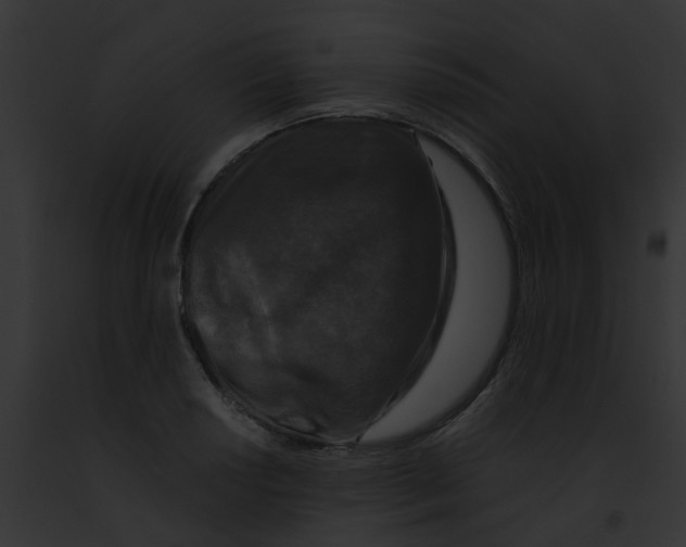 X0000091881034200710031117