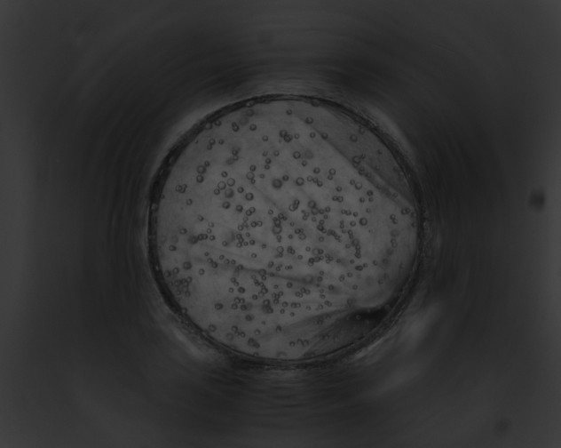 X0000091881035200710031117