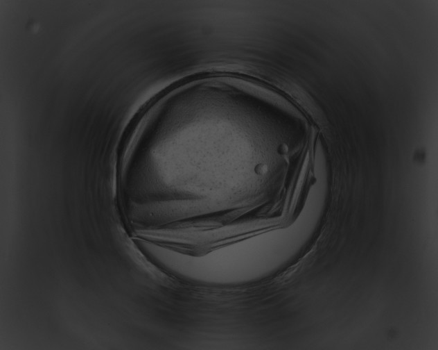 X0000091881036200710031117