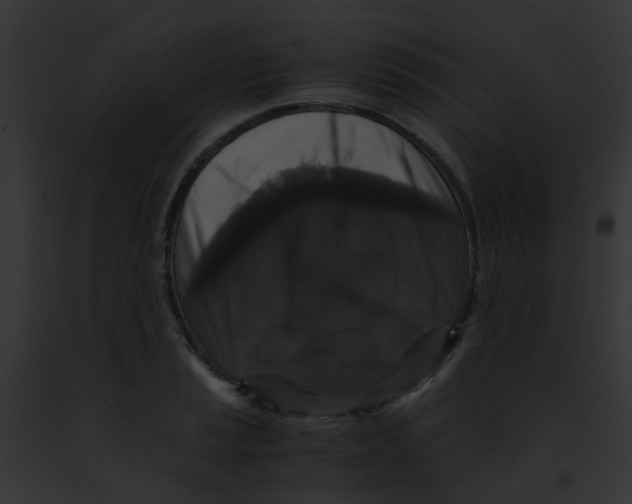 X0000091881037200710031117