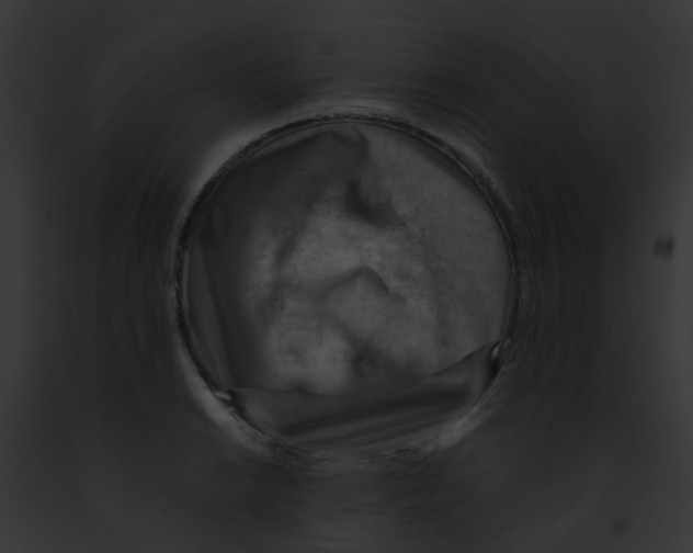 X0000091881038200710031117