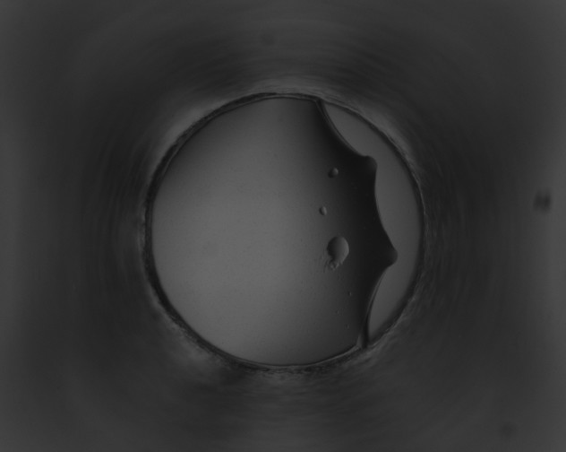 X0000091881040200710031117