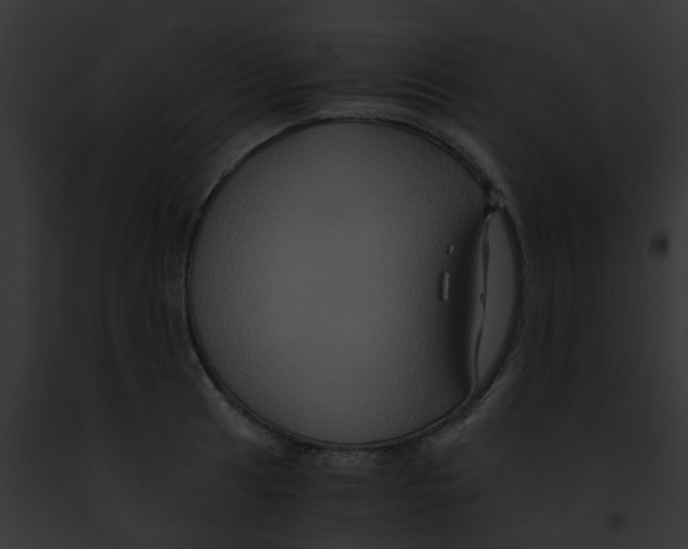 X0000091881041200710031117