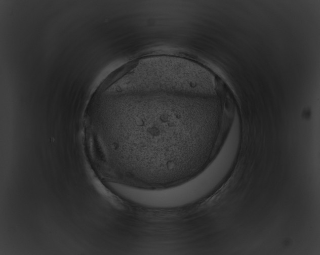 X0000091881042200710031117