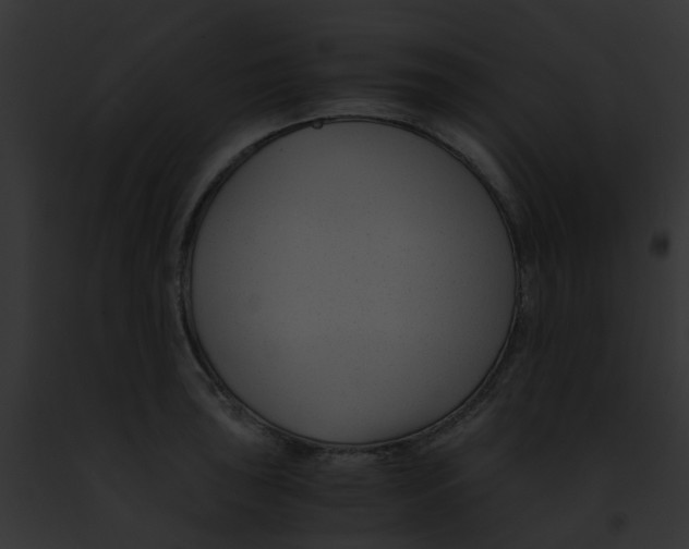 X0000091881043200710031117