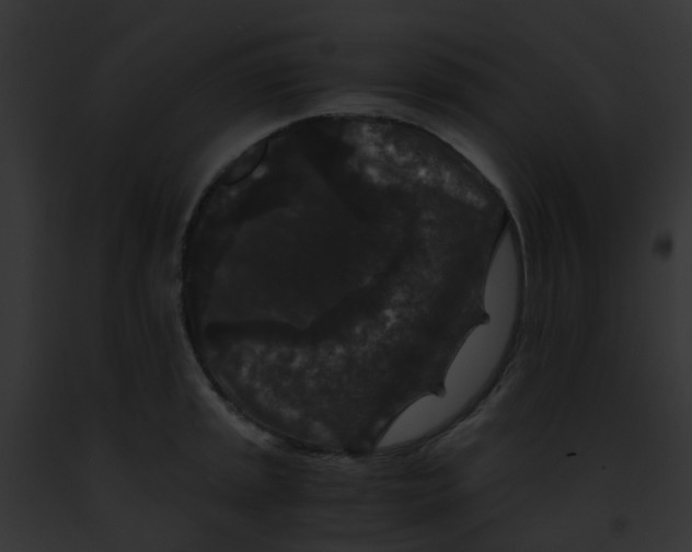 X0000091881045200710031117