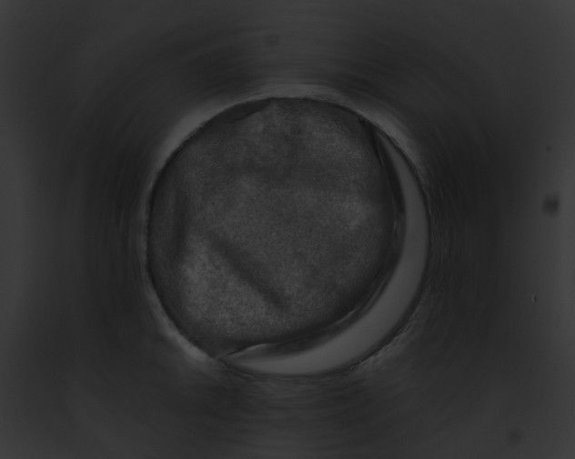 X0000091881046200710031117