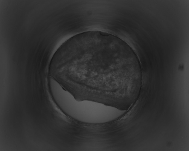 X0000091881048200710031117