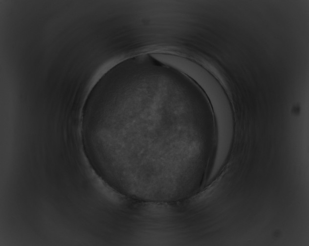 X0000091881050200710031117