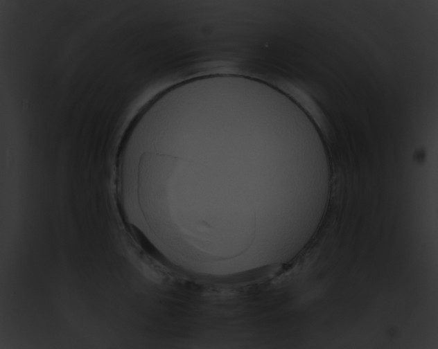 X0000091881051200710031117