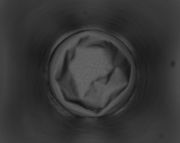 X0000091881052200710031117