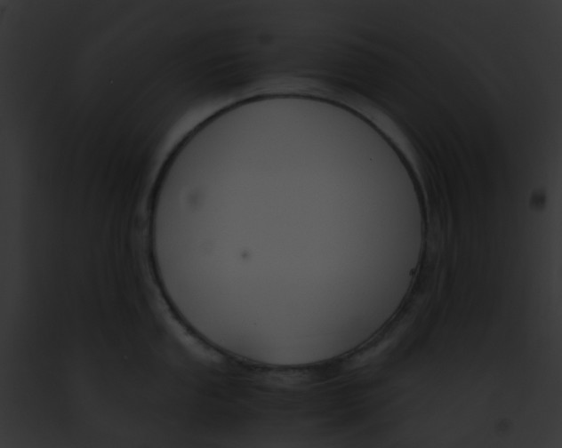 X0000091881053200710031117