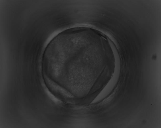 X0000091881054200710031117