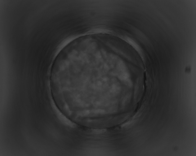 X0000091881055200710031117