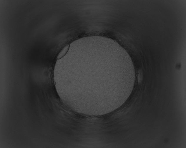 X0000091881059200710031116