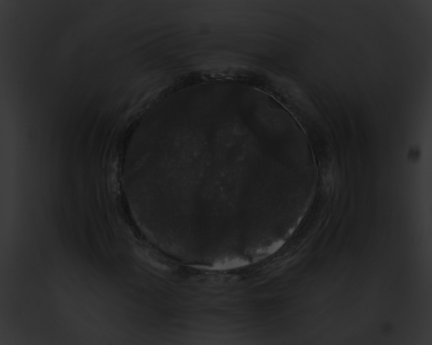 X0000091881060200710031116