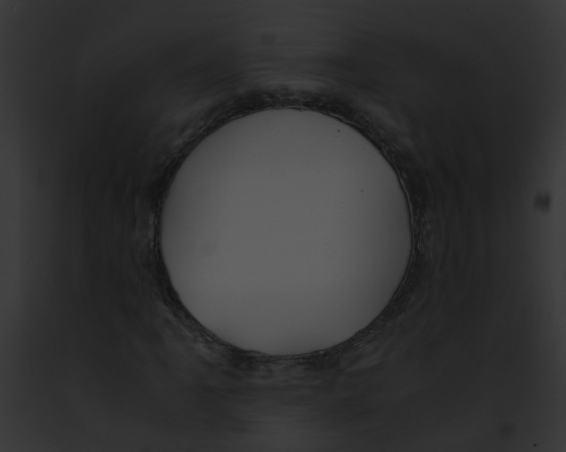 X0000091881061200710031116