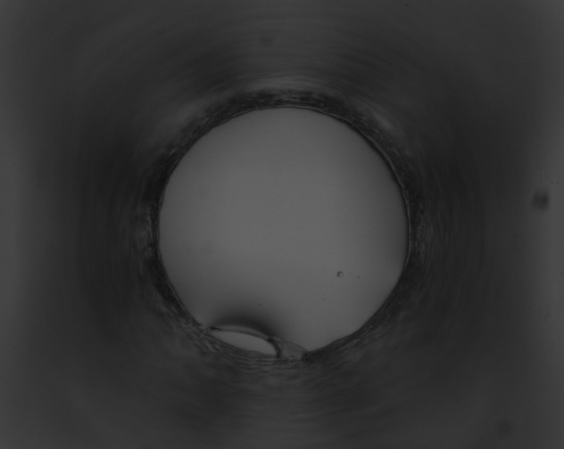 X0000091881062200710031116