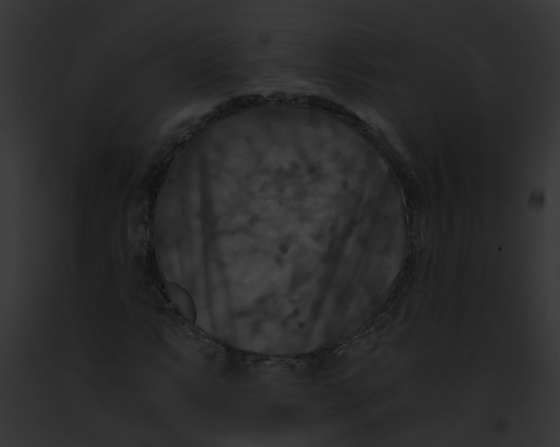 X0000091881063200710031116